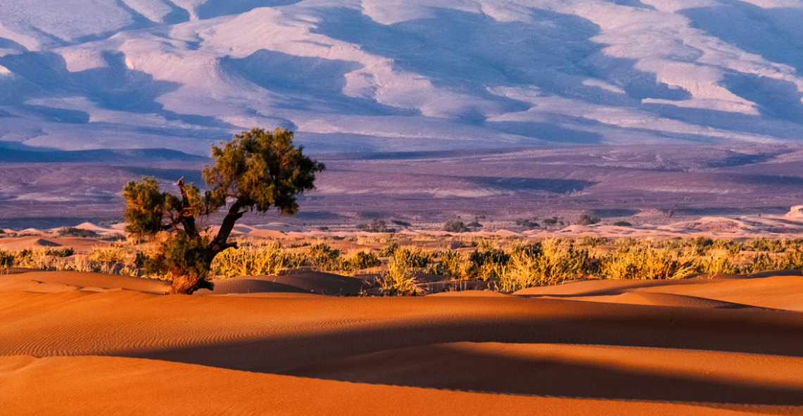 Morocco Sahara Desert Tour